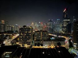 Blk 1B The Pinnacle@Duxton (Bukit Merah), HDB 4 Rooms #633838741